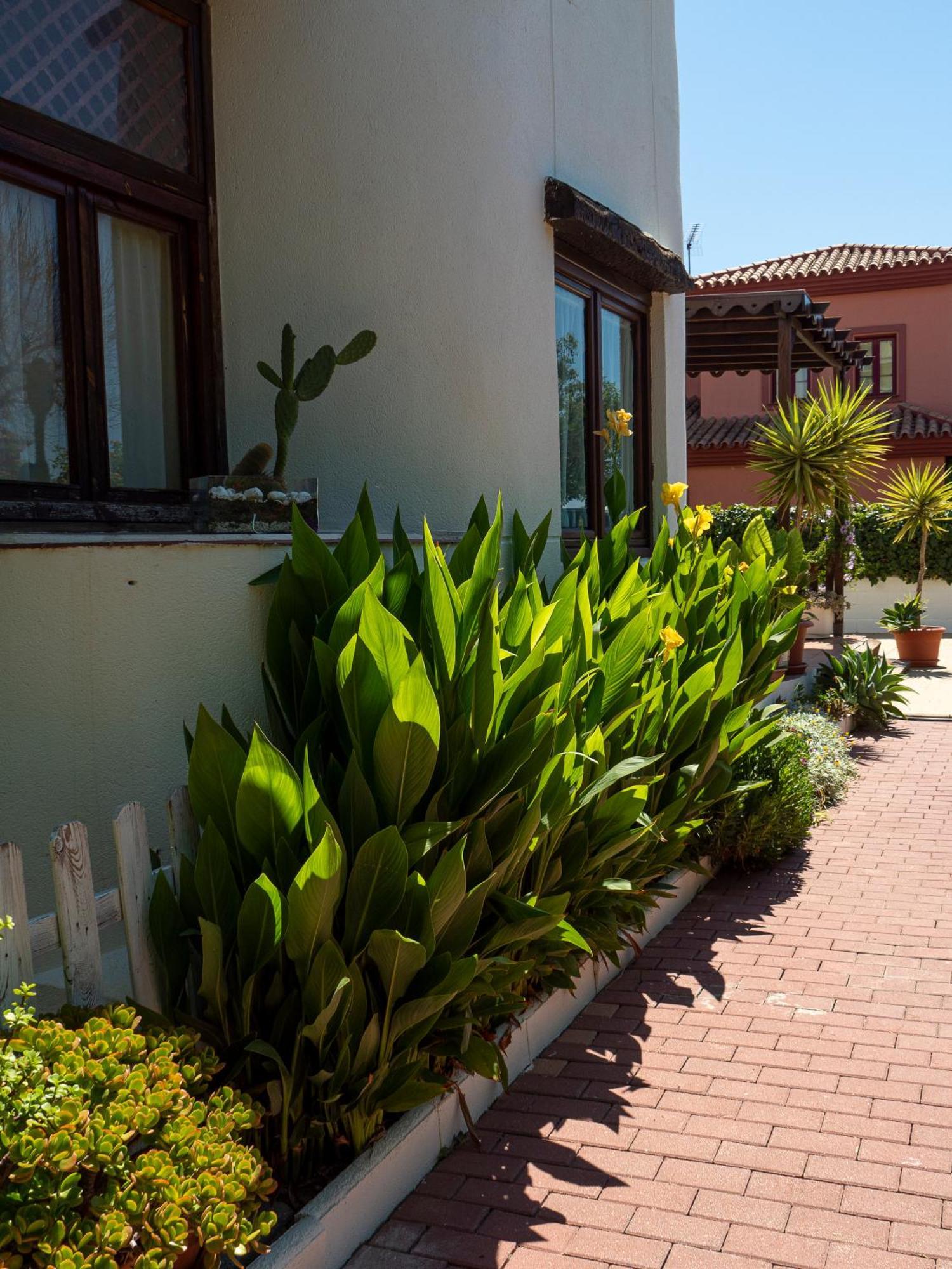 Villa Ibicenca Love Benalmádena Exterior photo